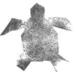 Logo Sapo Sapo - Officiel