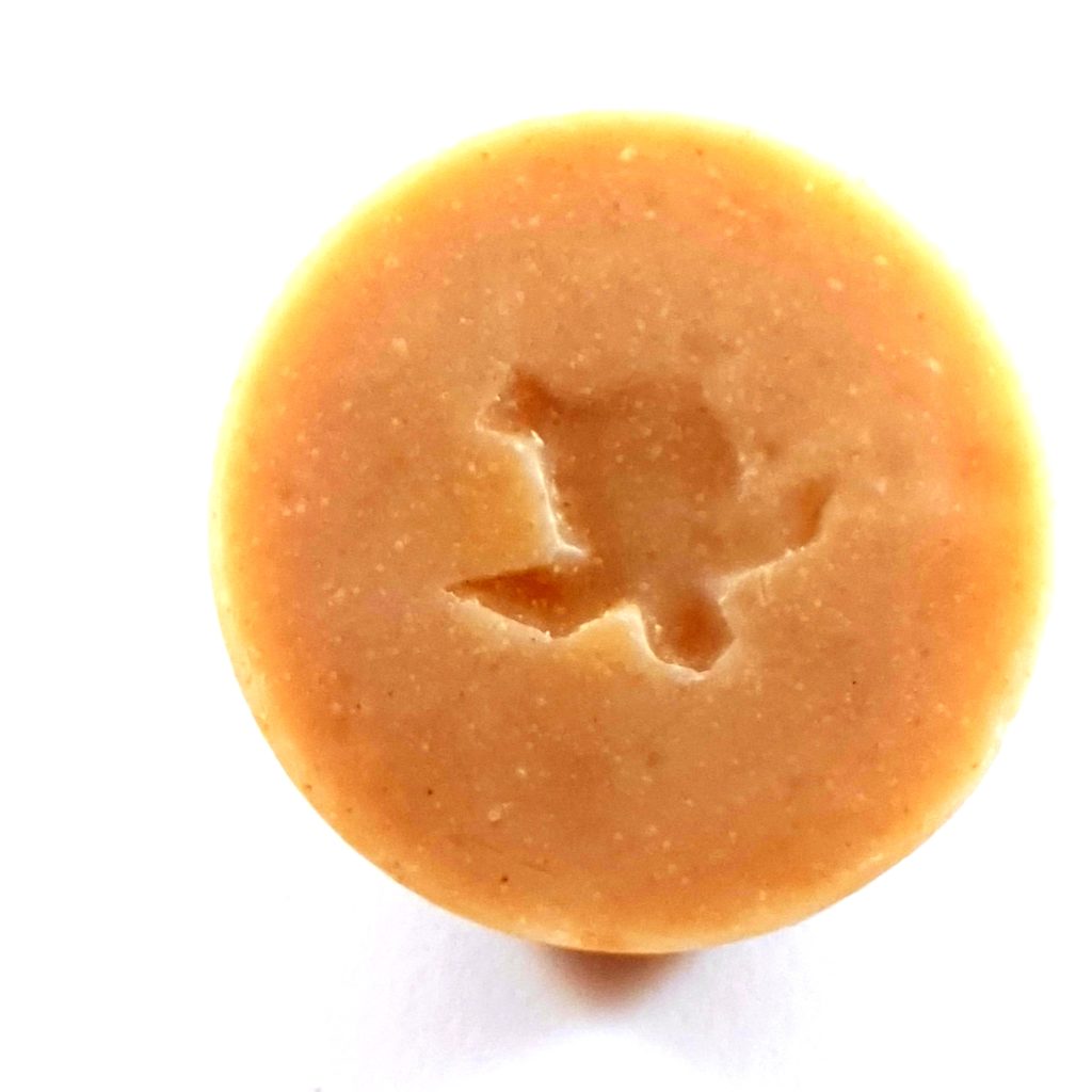 SAvon gingembre dessous - Sapo Sapo